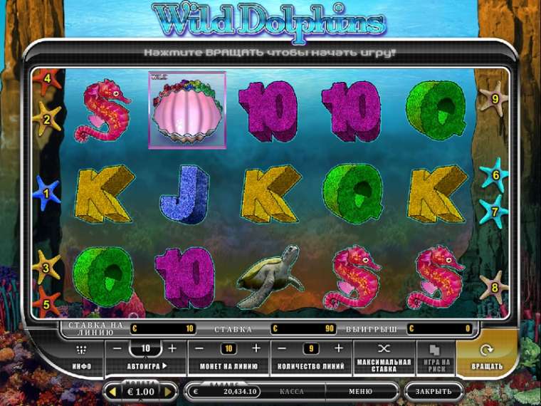 Видео покер Wild Dolphins демо-игра