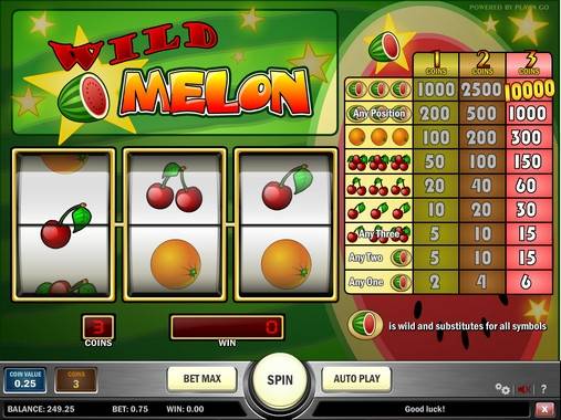 Wild Melon