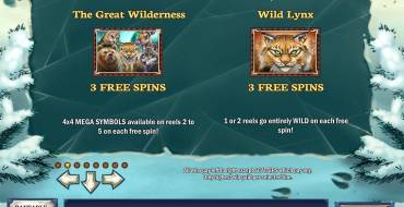 Wild North: Особые символы