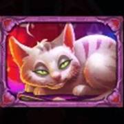 Witch Heart Megaways: Кошка