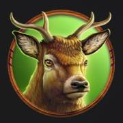 Wolf Strike Hold and Win Extra: Олень