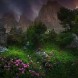 Andrey_Gatin