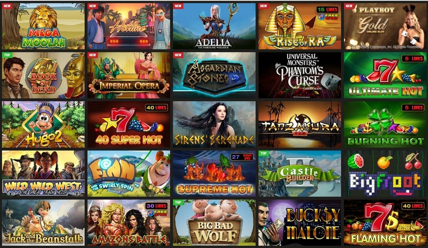 большой ассортимент видеослотов